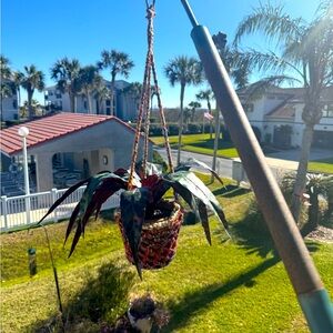 Crochet plant hanger